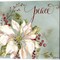 Winter Joy by Tre Sorelle Studios 14" x 14" Canvas Wall Art (Set of 2)